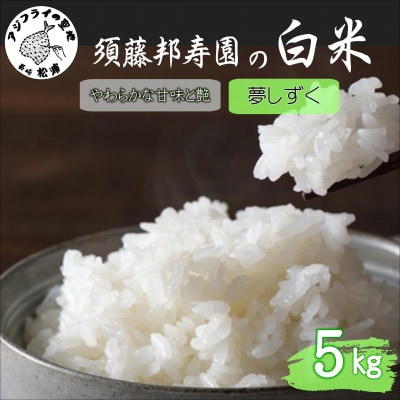 須藤邦寿園の白米 夢しずく 5kg【1659259】