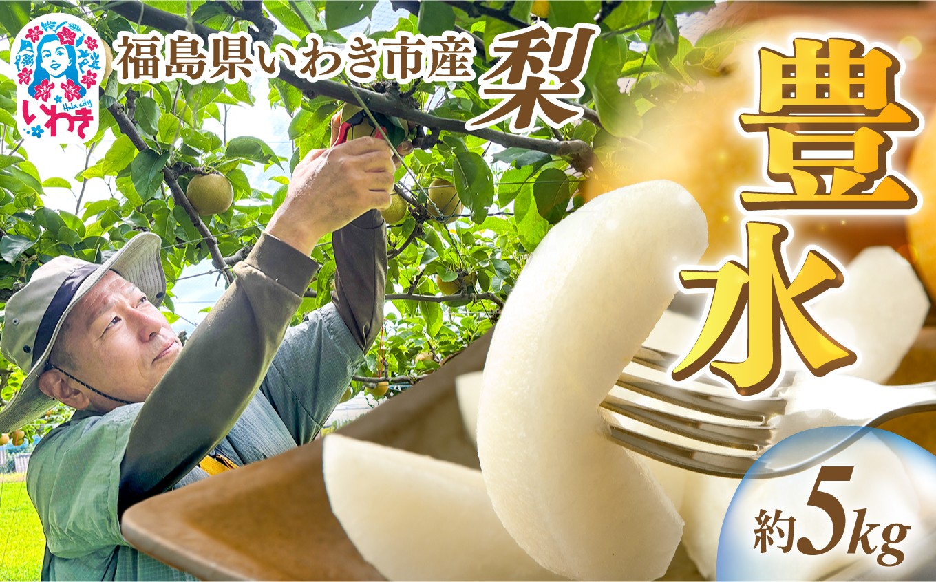 
                  【先行予約】福島県 いわき市産 梨 ( 豊水 )  約 5kg 梨 なし nashi nasi 和梨 数量限定 旬 果物 地域 甘い 数量限定 フルーツ 農家直送 産地直送 限定品 贈り物 新鮮 お取り寄せ デザート 限定 果樹 果樹園 梨園 明治 岡田梨園 福島県 いわき市 ふるさと納税 おすすめ | ON002
                