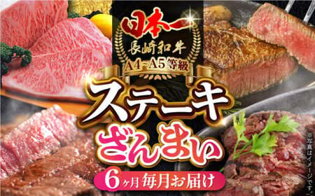 【全6回定期便】 長崎和牛 ステーキざんまいコース 総計2.5kg / モモ リブロース イチボ サーロイン ランプ ヒレ / 肉 牛肉 ステーキ 焼肉 / 波佐見町 / 野中精肉店 [VF81] 九