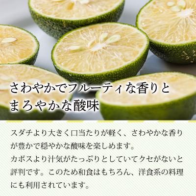 ふるさと納税 高原町 宮崎の特産柑橘へべすの手搾り果汁1L(業務用) TF789 |  | 03
