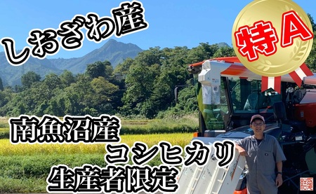 【令和7年産】【生産者限定 契約栽培】南魚沼しおざわ産コシヒカリ20kg（５kg×4袋）【2025年10月上旬より順次発送予定】
