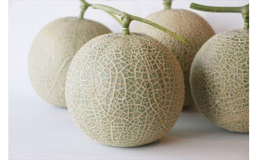 【沖縄フルーツ定期便】母の日ギフトのメロン＆夏ギフトマンゴー｜全2回｜宮古島産 ＜琉球マルシェ＞