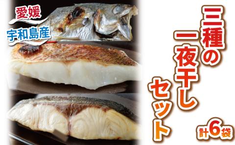 干物セット 干物 3種 一夜干し 6枚 こもねっと 真鯛 鯛 マダイ タイ カンパチ 干物 アジ 魚 冷凍 海鮮 新鮮干物 宇和海産干物 藻塩 干物 ヒモノ ひもの 朝食 和食 焼くだけ 簡単調理 便利 一人暮らし 小分け 真空パック 産地直送 国産 愛媛 宇和島 D010-008002