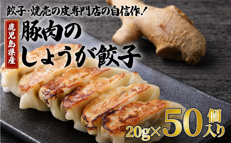 
餃子・焼売の皮専門店の自信作！鹿児島県産豚肉のしょうが餃子　K033-004
