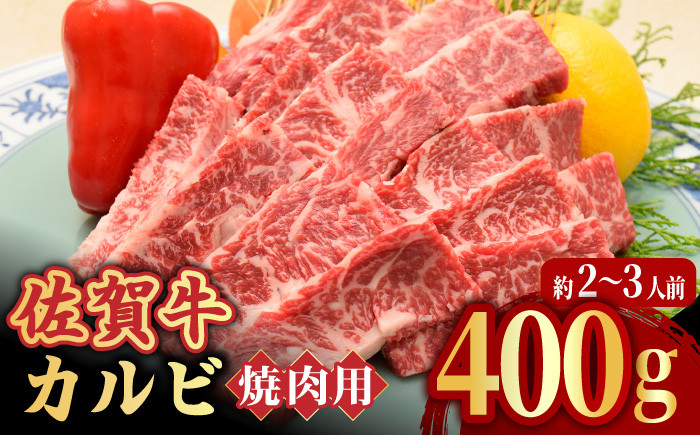 
【国内トップクラスの黒毛和牛】 A4 A5 佐賀牛焼肉用カルビ400g 吉野ヶ里町/ミートフーズ華松 [FAY047]
