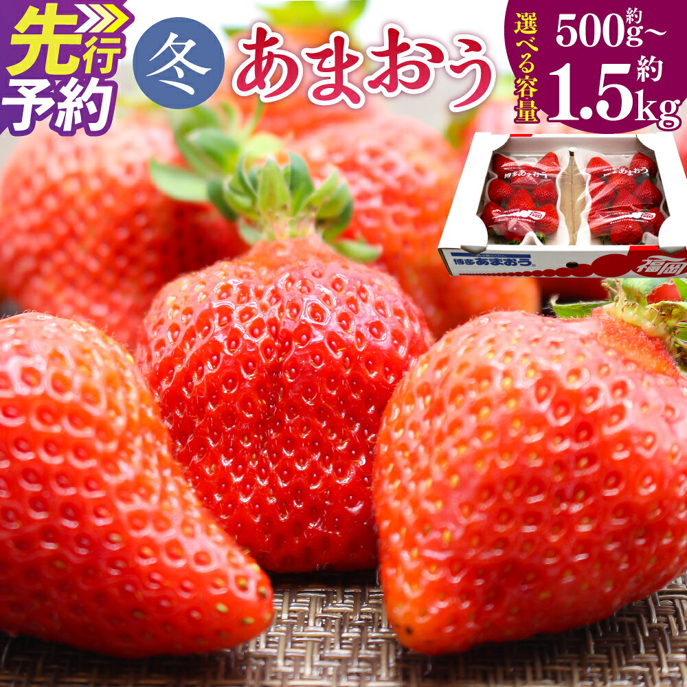 【ふるさと納税】博多あまおう(冬) 〈選べる〉約500g～1.5kg 2パック～6パック 1パック250g-270g あまおう いちご 苺 ストロベリー 果物 フルーツ 福岡県産 博多 福岡 青果 送料無料【2026年12月上旬-2026年1月下旬発送予定】