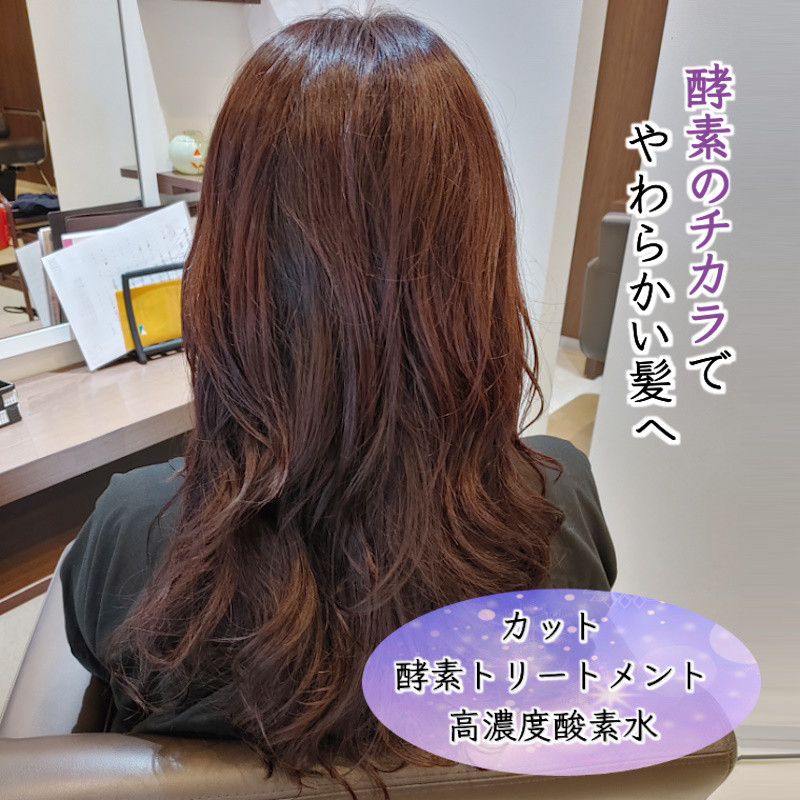 
「酵素のチカラでやわらかい髪へ 」ご利用券 高濃度酸素水 酵素トリートメント ヘアカット 90分コース
