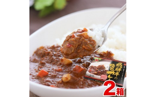 飛騨牛の極旨カレー ２食入り×２箱