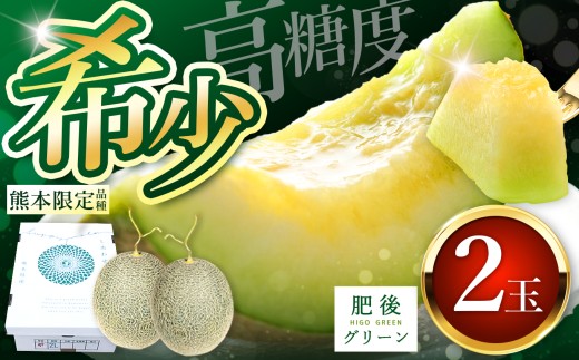 メロン 肥後グリーン 2玉 玉名市産 | フルーツ 果物 くだもの 高級 メロン 熊本県 玉名市