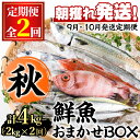 【ふるさと納税】＜定期便・全2回(9月・10月)＞「秋の鮮魚BOX」朝獲れ発送！鮮魚問屋が厳選したおまかせ鮮魚(約2kg程度×2回)魚 魚介類 鮮魚 海鮮 詰め合わせ セット 刺身 天ぷら 煮つけ 塩焼き【江川商店】【0301102b】