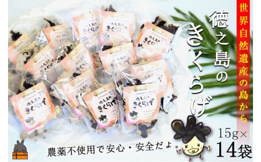 945《12月より発送》～コリコリ食感がたまらない～徳之島産乾燥きくらげ（15g×14袋） ( きのこ 健康 国産 安心 安全 和食 中華料理 こりこり 料理 天然水 中華丼 汁物 具材 朝食 昼食 夕食 )
