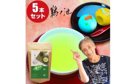 自社製造の深蒸しの八女茶！茶ごころ100g入り5袋セット　008-005