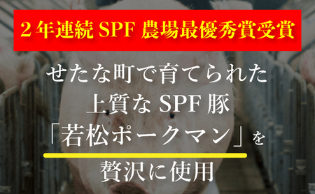 【北海道産ブランドSPF豚使用】若松しゅうまい大粒プレミアム 6個入り2パック セット 若松ポークマン 豚肉 シュウマイ 焼売 弁当 冷凍 チルド 蒸し せたな町 ふるさと納税  