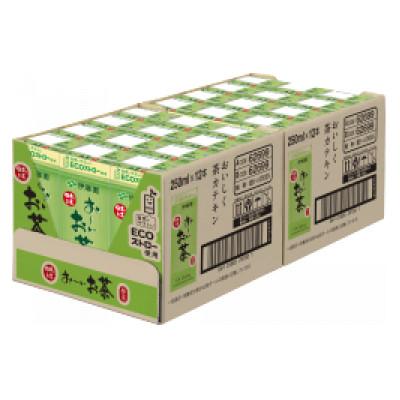 ふるさと納税 紀の川市 紀の川市産　紙パック飲料　紙おーいお茶250ml×24本(1ケース)