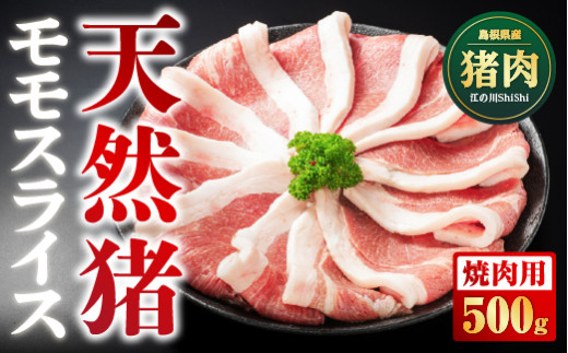 天然猪 江の川shishi 猪モモスライス 焼肉用 500g （ 2～3人前 ） AI-6 いのしし肉 イノシシ肉 猪肉 猪 モモ肉 スライス ジビエ