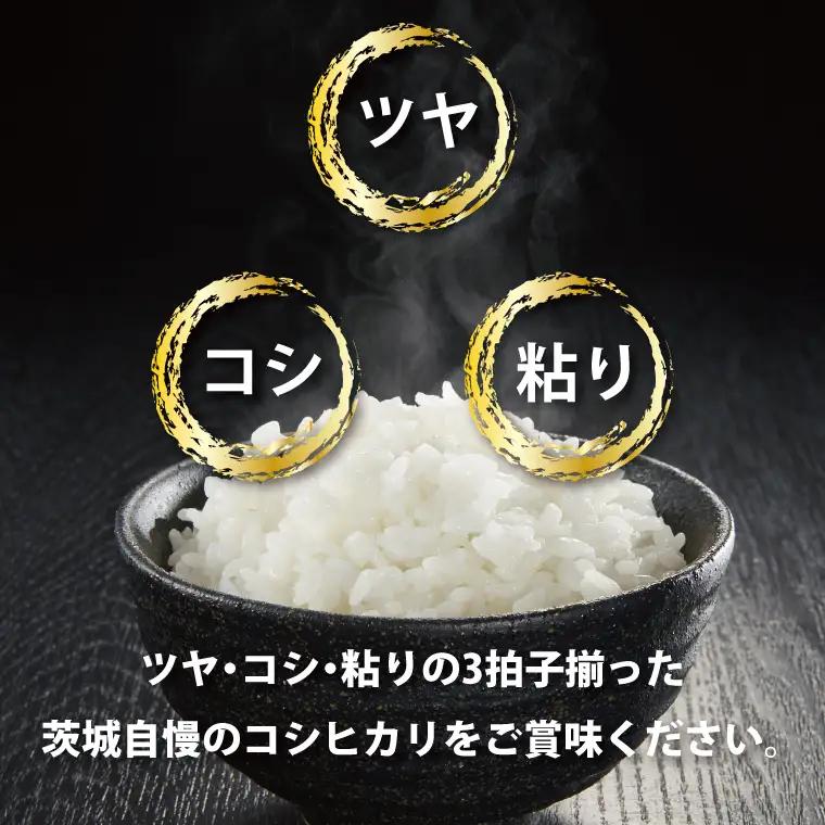 令和7年産 茨城 コシヒカリ 10kg (5㎏×２袋) 米 精米 茨城県産_CU001