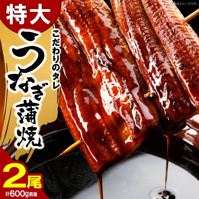 【ふるさと納税】うなぎ 蒲焼 特大 2尾 約 600g ビッグサイズ 特製 タレ 肉厚 ふっくら ジューシー 土用 丑の日 うな丼 ひつまぶし うまき うざく おかず おつまみ お弁当 食品 食べ物 グルメ お取り寄せ 送料無料 冷凍 福岡県 上毛町