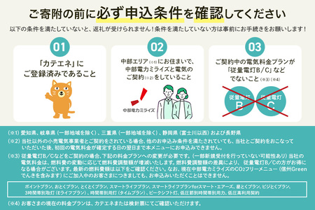 大台町産CO2フリーでんき 30,000円コース※2026/7/21以降受付一時停止（注：お申込み前に申込条件を必ずご確認ください） ／中部電力ミライズ 電気 電力 三重県 大台町