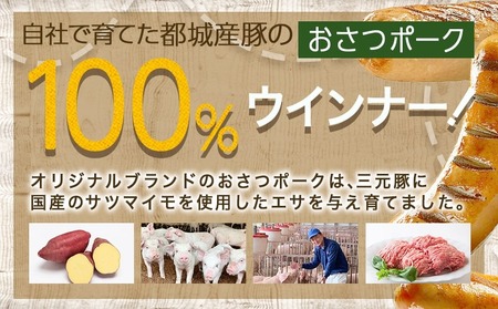 【年内お届け】「おさつポーク」無塩せきウィンナー1kg≪2025年12月15日～31日お届け≫_AA-D401-HNY