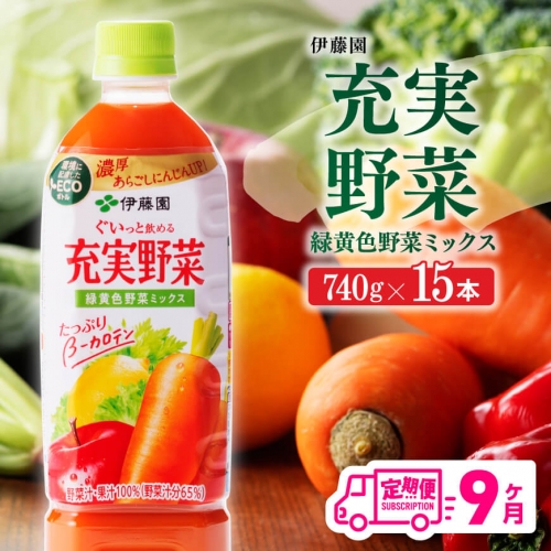 【9ヶ月定期便】 伊藤園 充実野菜 緑黄色野菜ミックス ペットボトル 740g×15本 【 飲料類 ソフトドリンク 野菜ジュース 】 宮崎県川南町