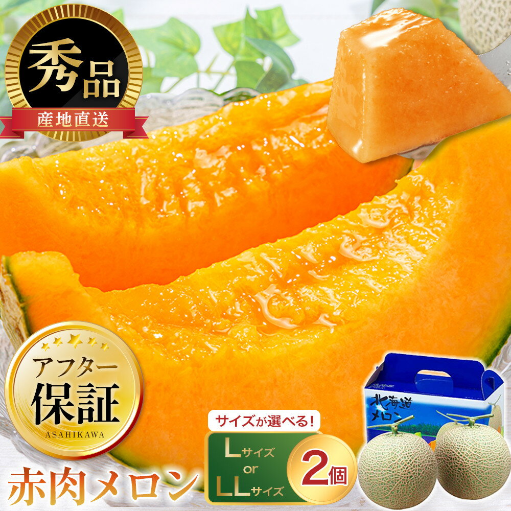 先行予約 北海道「赤肉メロン」L玉×2個（2023年7月中旬発送開始予定 | メロン 赤肉 果物 フルーツ 大人気 高評価 ランキング 糖度 2玉 デザートお取り寄せ 旭川市ふるさと納税 北海道ふるさと納税 旭川市 北海道 送料無料