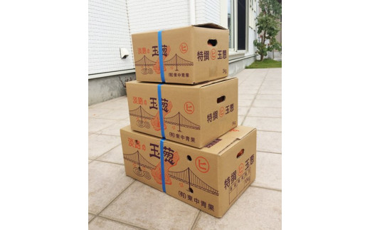 淡路島産玉葱　うずしお追熟甘玉ねぎ3kg