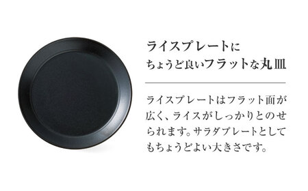 【美濃焼】 miyama.のカレーのうつわ スープのカレー皿 2点セット 鉄釉 瑞浪市 / ミヤマプランニング 食器 皿 ボウル [AZCM060]