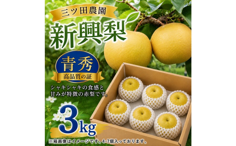
                  【2026年10月頃より発送】三ツ田農園 新興梨 (青秀)自家用3kg
                