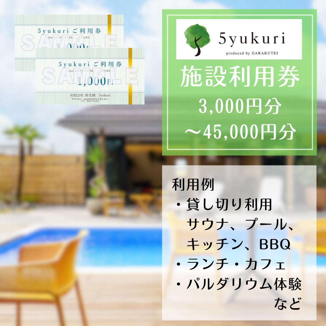 【ふるさと納税】5yukuri 利用券　3,000円分～45,000円分 新潟 サウナ 本場 フィンランド バレルサウナ セルフロウリュ プール カフェ ランチ パルダリウム 貸し切り クーポン