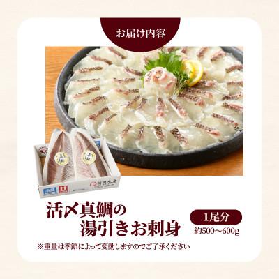 ふるさと納税 延岡市 延岡産活〆真鯛の湯引きお刺身 約500g〜600g |  | 02