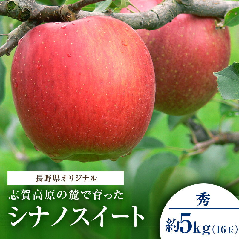 【ふるさと納税】志賀高原の麓で育った シナノスイート 秀16玉 約5kg 【 りんご フルーツ 果物 デザート 長野県 長野 】　お届け：2026年10月20日～30日頃発送予定※日時指定不可
