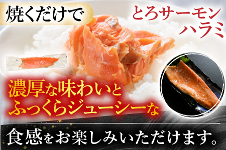 スモークサーモン2～3P(計400g)＆とろサーモンハラミ3～5枚(計1kg) A-09128