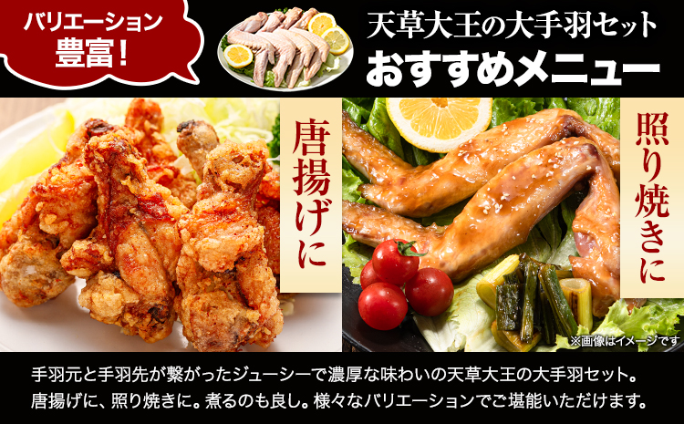 【幻の地鶏】天草大王大手羽セット ４本入り 約650g以上 大海水産株式会社《45日以内に出荷予定(土日祝除く)》地鶏 ---sms_fadotb_45d_23_12000_650g---