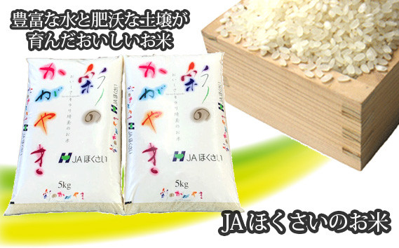 
No.296 行田市産「彩のかがやき」精米10kg（5kg×2） ／ お米 白米 ごはん 埼玉県 特産品
