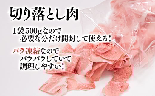 宮崎県産豚肉しゃぶ・小間セット1.3ｋｇ　小分けパック（豚ロース・豚バラ肉・小間切れ）＜1.1-32＞豚肉 肉 ポーク 宮崎県産 食べ比べ  宮崎県西都市