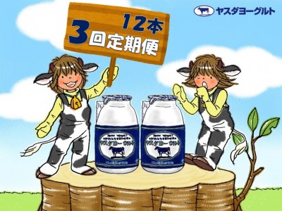 【3か月定期便】ヤスダヨーグルト 150g×12本×3回 小ボトル こだわり生乳 新鮮 濃厚  1B02019