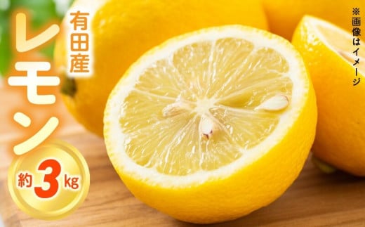 ZN6008n_【2026年先行予約】和歌山県有田産レモン 3kg