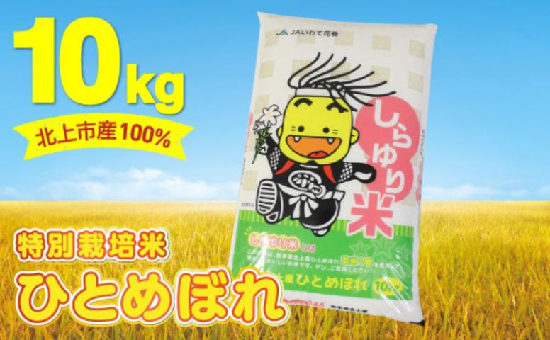 
                  【 特別栽培米 】R7年産 北上市産 100％ しらゆり米 1等米 ( ひとめぼれ 10㎏ ) お米 米 白米 ご飯 国産 岩手県 北上市 G0234 JA産直 あぜみち
                
