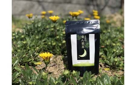 太良の桑ん葉茶 1セットティーパック お茶 茶 飲料 国産茶 桑の葉茶 佐賀県 太良町 L115