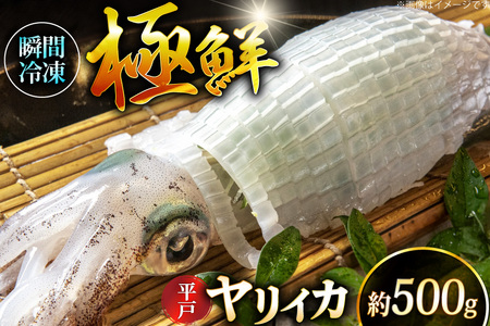 イカ 刺身 極鮮ヤリイカ 約500g [海隆丸 長崎県 平戸市 hr42bvk550000] ヤリイカ 新鮮 海鮮 魚介 瞬間冷凍 冷凍 コリコリ 直送 冷凍 個包装 真空パック