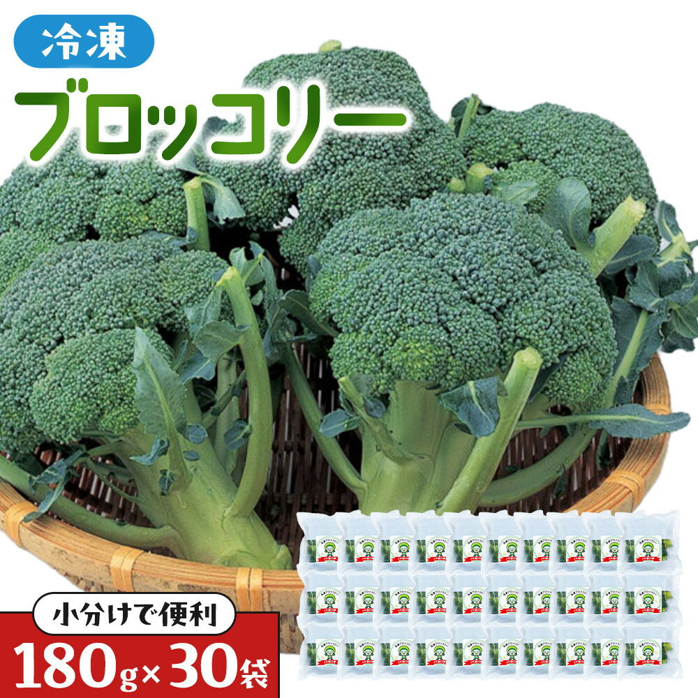 【ふるさと納税】JA香川県　冷凍ブロッコリー30袋 | 食品 加工食品 人気 おすすめ 送料無料