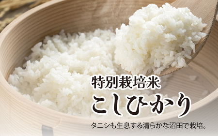 永平寺町の地酒（??田酒造）とお米セット[B-033062]