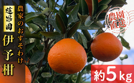 【先行予約】 【2026年1月から発送予定】 家庭用 宮内伊予柑 5kg サイズ混合 （ 訳あり 柑橘 みかん 果物 くだもの フルーツ おすすめ 人気 お取り寄せ グルメ ギフト 期間限定 数量限定 ご当地 愛媛県 松山市 ）【RNK0132】