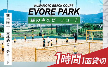 エボレパーク 1面1時間利用 利用券 ビーチスポーツ ビーチバレー ビーチサッカー スクール ダイエット 運動 レクリエーション イベント フェス 菊陽町 熊本【エボレジャパン株式会社】[BHBC011]