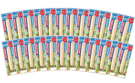 サラダチキンバー（プレーン） 67g×24個の食べやすいバータイプ 糖質0のヘルシーなサラダチキンバー約1.6kg【A-1537aH】