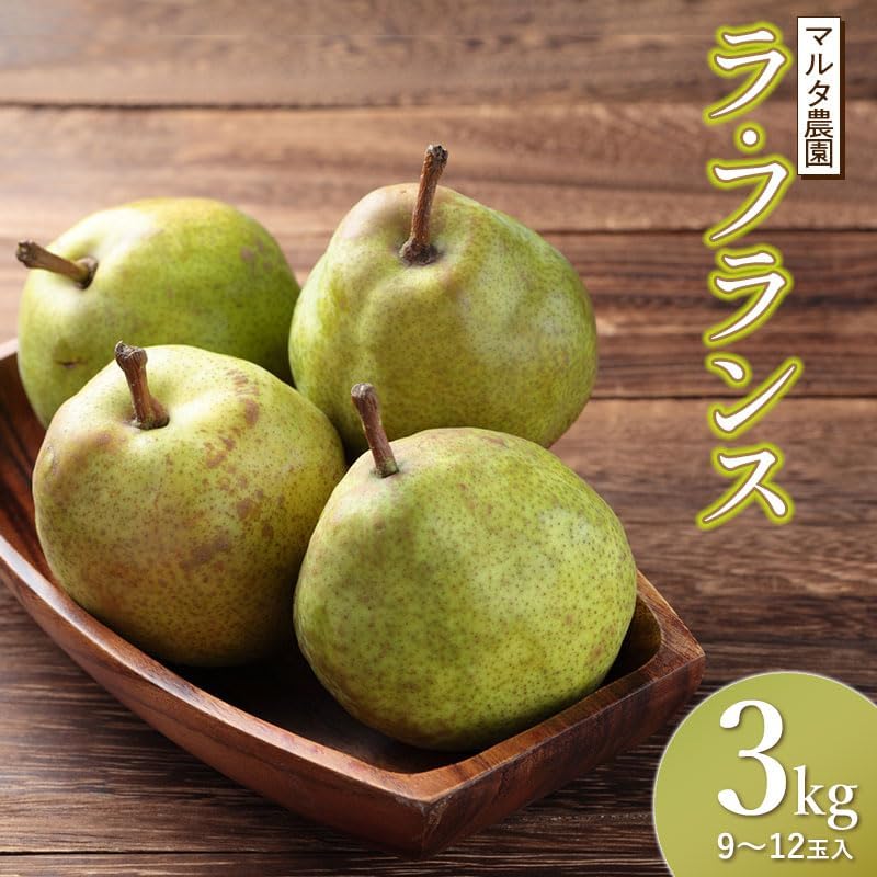 【令和8年産先行予約】ラ・フランス 3kg (9～12玉)　山形県鶴岡市産　マルタ農園