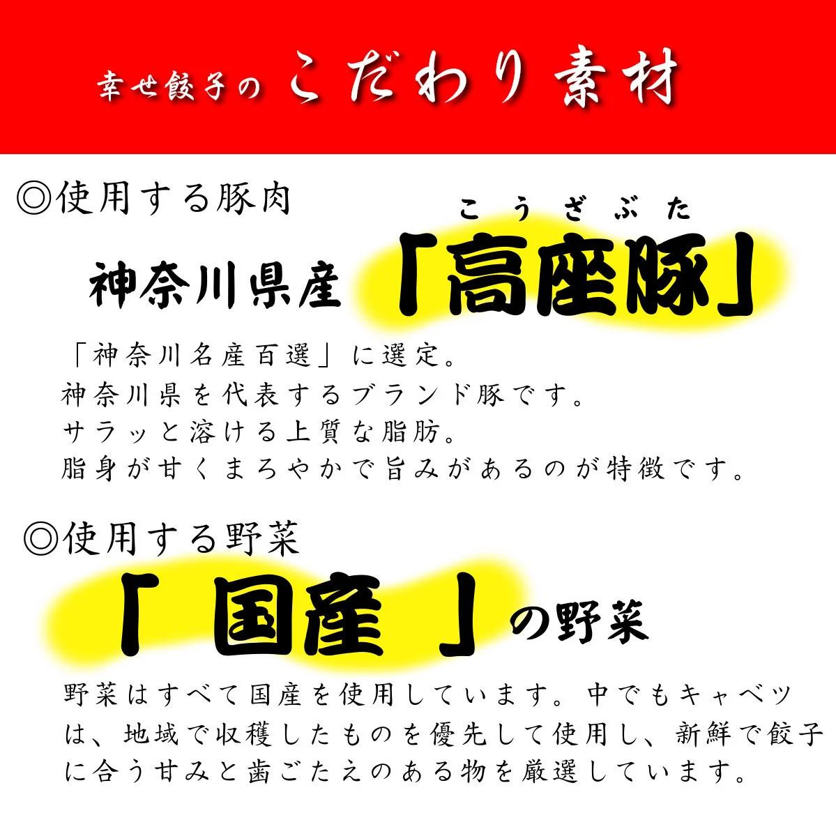006-20-1幸せ餃子のボリューム満点こだわり大餃子（2箱）/ 餃子 ギョウザ 手作り ジャンボ餃子 １０個入り ２箱 冷凍 食品 おかず 冷凍 食品 おかず 国産 国産野菜 高座豚 ぎょうざ ギョ