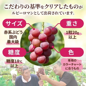 【令和６年度発送分】ルビーロマン１箱　化粧箱入り　贈答にも　石川県最高峰のぶどう