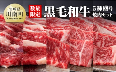 黒毛和牛 5種盛り 焼肉 セット （数量限定） 300g  【 肉 牛肉 黒毛和牛 国産牛肉 九州産牛肉 宮崎県産牛肉 焼肉 ロース 肩ロース ウデ バラ モモ セット BBQ 焼肉セット 送料無料牛肉 】