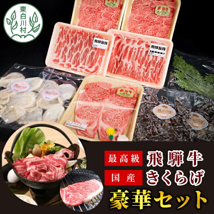【ふるさと納税】最高級飛騨牛のサーロインと国産きくらげ豪華セット 冷凍 飛騨牛 サーロインステーキ 飛騨旨豚 ロース きくらげ しゃぶしゃぶ サーロイン カットきくらげ キクラゲ 白いきくらげ 銘柄豚 すき焼き ギフト 小分け包装 東白川村 岐阜 つちのこの村 62000円